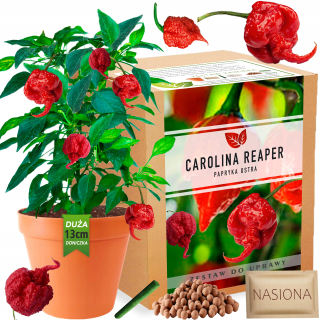 Carolina Reaper HP22B Sada na pestovanie semien červenej papriky XXL Veľmi pikantná